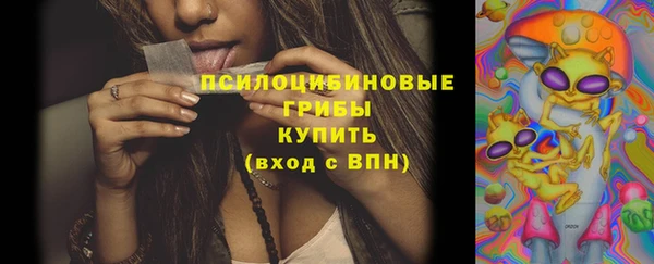 соль курить ск Няндома
