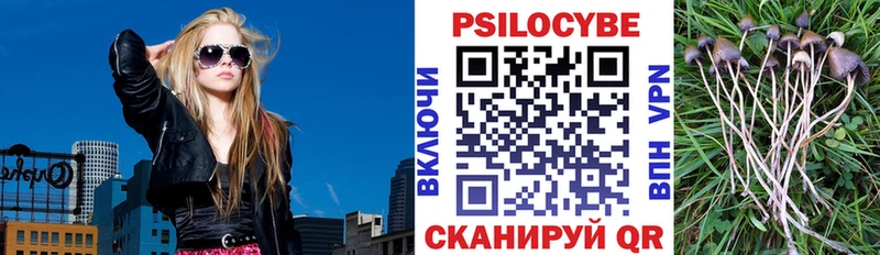 Псилоцибиновые грибы MAGIC MUSHROOMS  Таганрог 