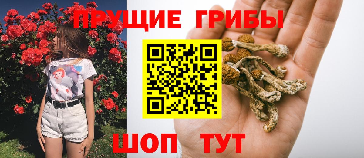 Псилоцибиновые грибы мицелий  Галлюциногенные грибы Cubensis  Таганрог  Вход с VPN 